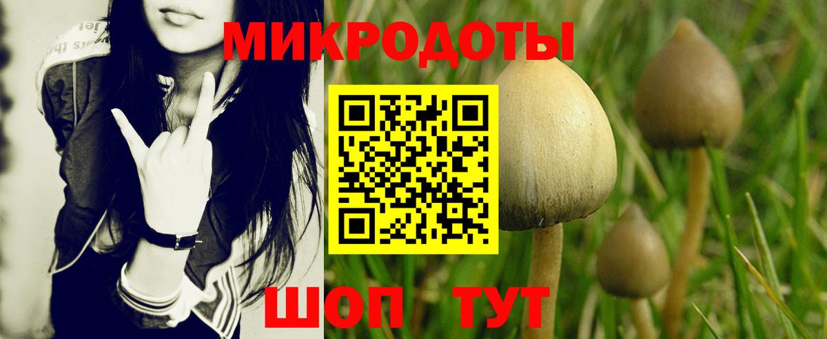 Галлюциногенные грибы мухоморы  сколько стоит  Вход с VPN  Новокубанск  Псилоцибиновые грибы мухоморы 